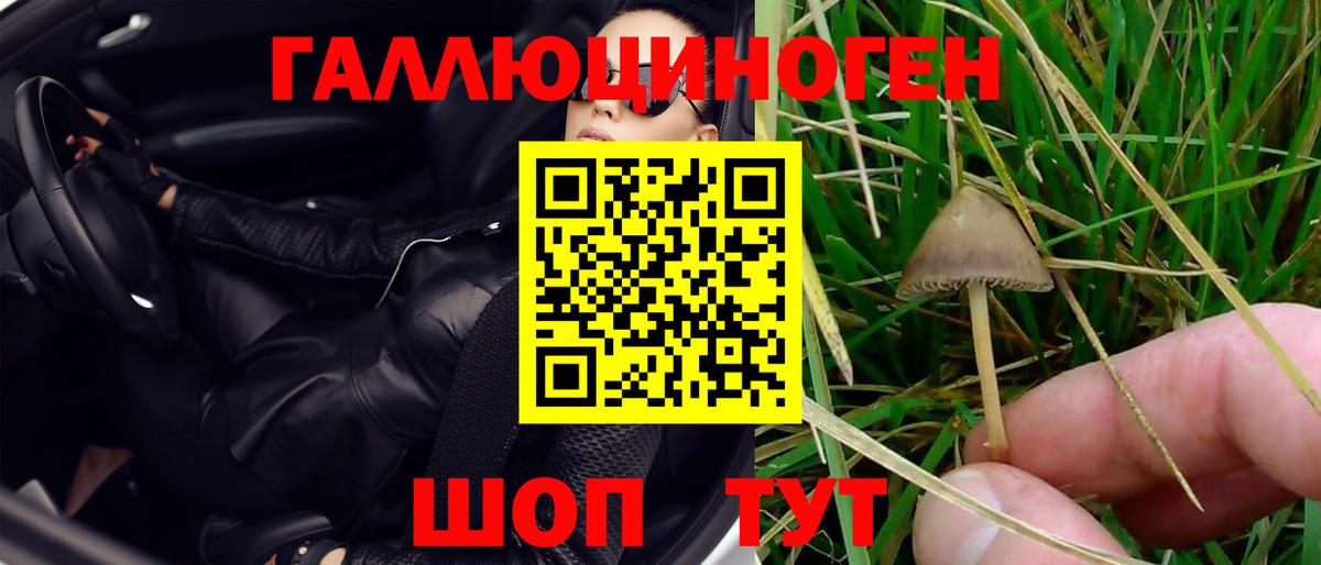 Псилоцибиновые грибы ЛСД Аргун