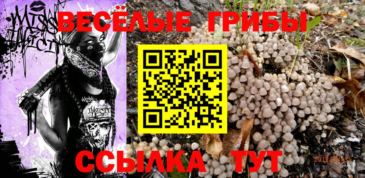 Псилоцибиновые грибы MAGIC MUSHROOMS Аргун