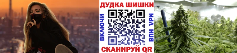 МАРИХУАНА ГИДРОПОН  купить наркотик  Аргун 